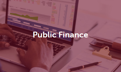 Public Finance
